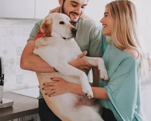 15 Sweetest Animal Reunions After Years Apart