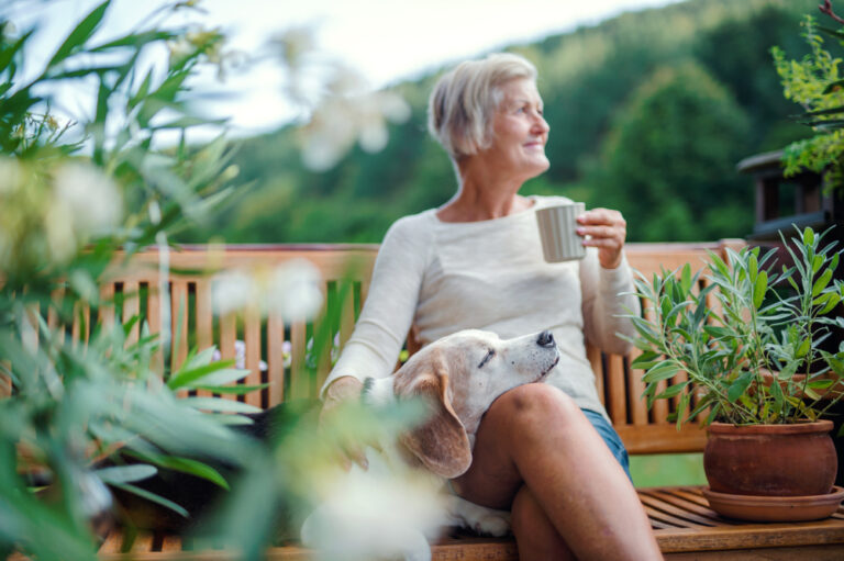 What to Consider When Adopting a Senior Pet