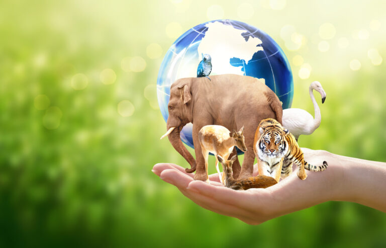 Discover the Endangered Species in Your Region and How You Can Help