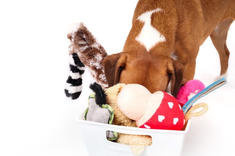 13 Genius Pet-Storage Ideas Every Owner Should Steal