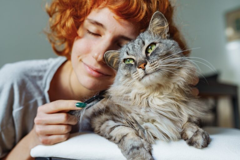 14 Cat Habits That Are Actually Survival Behaviors in Disguise