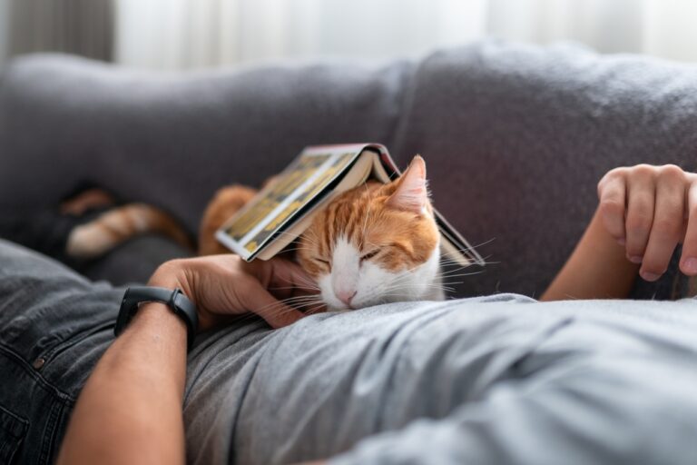 Why Your Cat’s Indifference Is the Relationship Standard You Deserve
