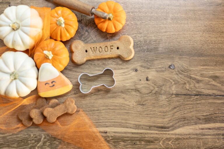 10 DIY Healthy Pet Treats That May Prolong Your Fur Baby’s Life