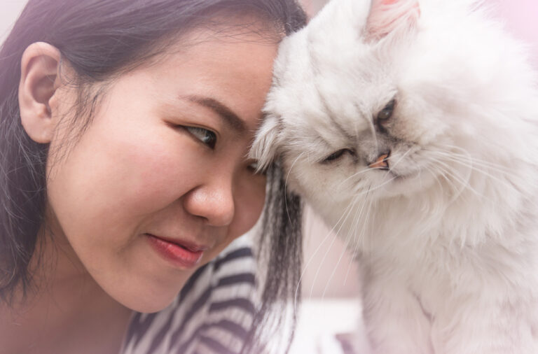 16 Reasons “Single Cat Ladies” are Happier than the Rest of Us