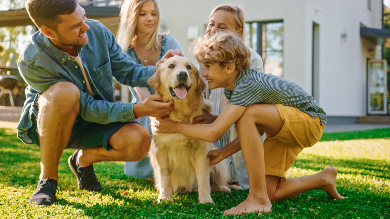The Calmest Dog Breeds To Get If You Have A Chaotic Family