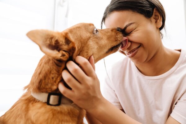 14 Ways Dog Owners Secretly Act Like Their Dogs’ Emotional Support Humans