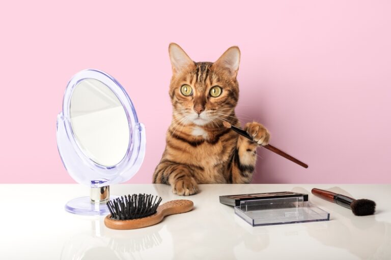 10 Pets With Hidden Superpowers You’ll Never Believe Are Real