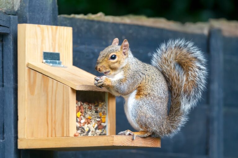 15 American Animals With Strange and Unexpected Behaviors