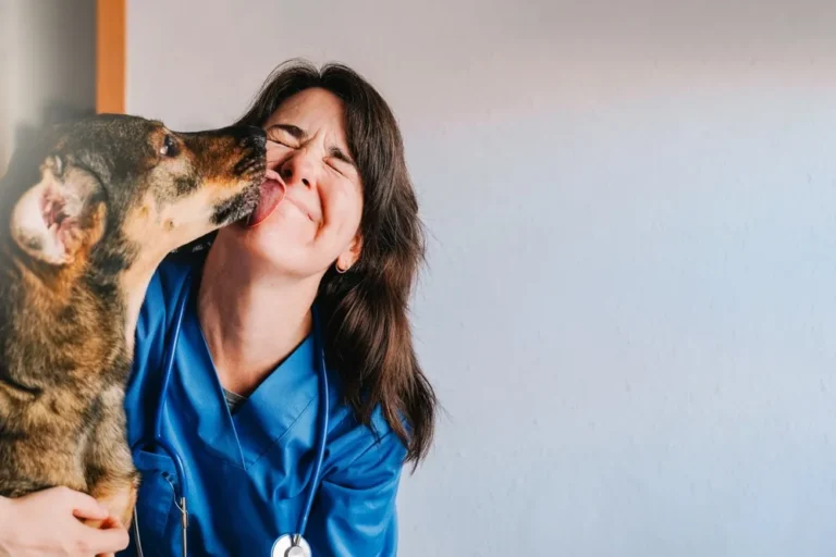 14 Things Most Pet Owners Confess Say They’d Never Do Again