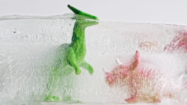 13 Animals Unbelievably Found Preserved Frozen In Ice