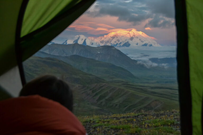 14 Of The Best US Camping Sites If You Want To Engage With The Wildlife