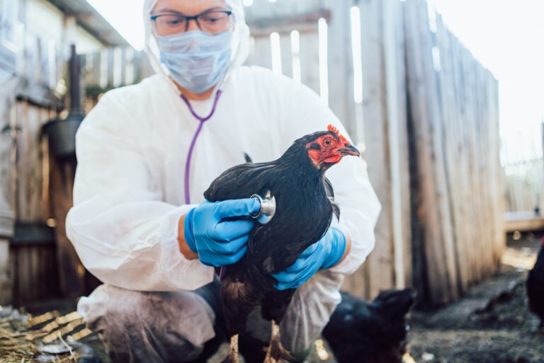 13 Reasons We Should All Be Worried About Bird Flu