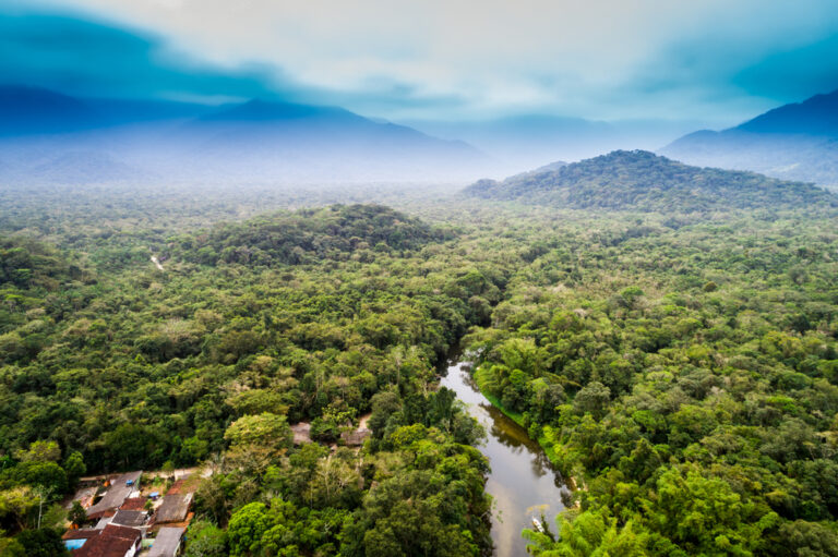 12 Facts About the Amazon Rainforest That Sound Fake (But Aren’t)
