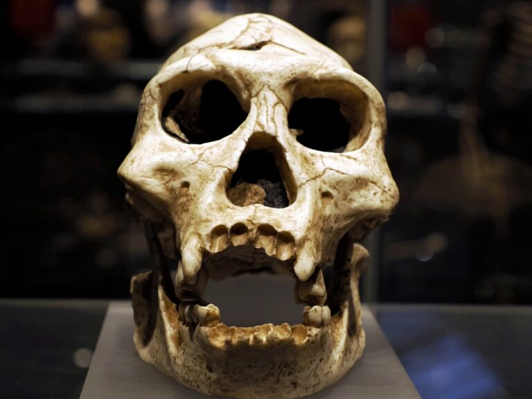 How DNA Evidence Is Rewriting Everything We Know About Human Evolution