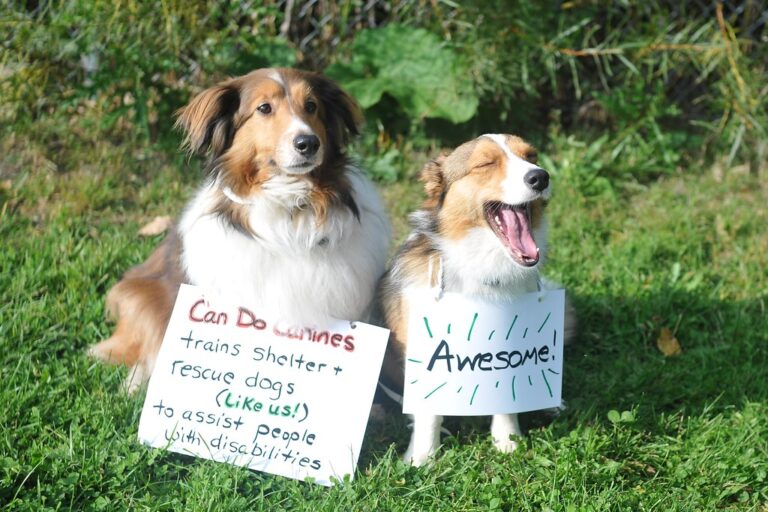 15 Dog Breeds Linked to Higher Stress in Owners (And What You Can Do About It)