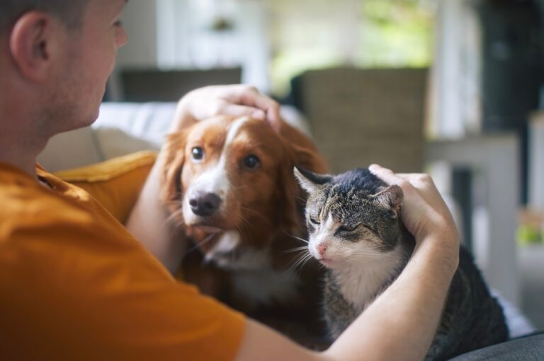 15 Signs You’ve Projected Your Abandonment Issues Onto Your Dog