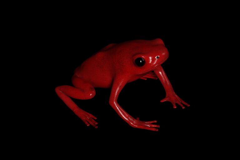 12 Species That Have Quietly Gone Extinct In The Last Decade